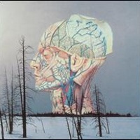 Songs for a Dead Pilot