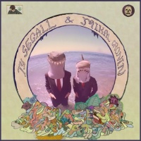 Ty Segall & Mikal Cronin – Reverse Shark Attack