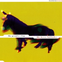 The Horse Latitudes