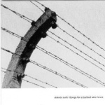 Songs for a Barbed Wire Fence