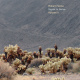 Signal To Noise volume II