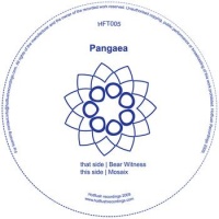 Bear Witness