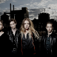 Marmozets