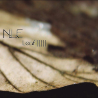 Leaf IIIII