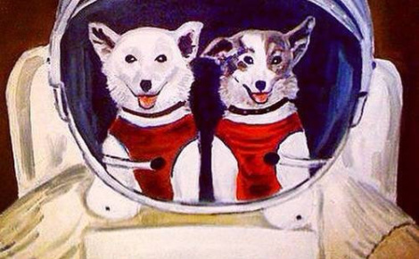 The Soviet Space Dog Project