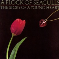 The Story of a Young Heart