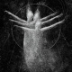 The Starborn