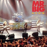 Mr. Big Live