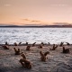 A Day at the Beach