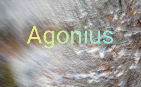 Agonius