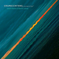 Seaish Dreams of Electric Waves