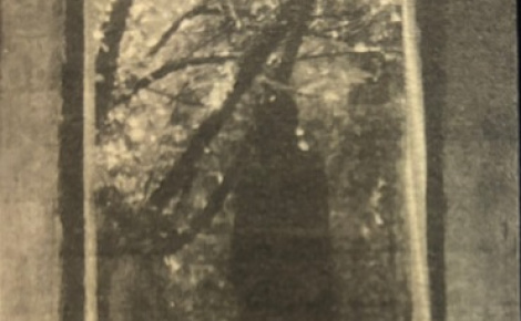 Das Letzte gold verfallener sterne