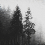 雾骸 (Mist Skeleton)