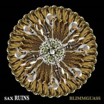 SaxRuins - Blimmguass