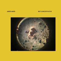 Metamorphosis