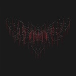 Moth