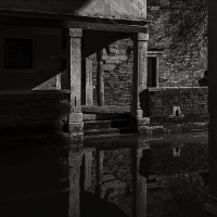 No Survivors for the New World 2025