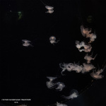 Счетчик Аномальных Траекторий (Anomalous Trajectory Counter)