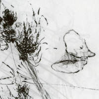 Tribute To The Doomed