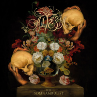 The Somnambulist