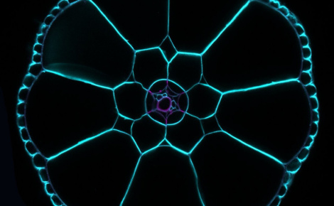 Fictional Landscapes