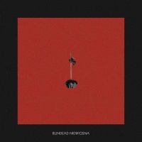 Niewiosna