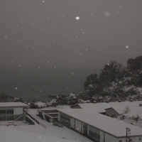 スノー (Snow)