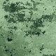 The Scent Of Decay