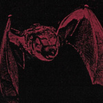 Lasiurus Cinereus