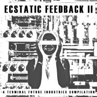 Ecstatic Feedback II: A Terminal Future Industries Compilation [PART 2]