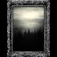 The Forlorn Lights Overlooking The Spectral Forest Of Yc'thudhresz