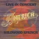 Live in Concert: Wildwood Springs 