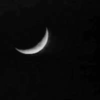 夜の歌 (Song of the Night)