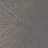 Selva Oscura 