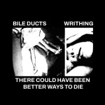 There Could Have Been Better Ways To Die