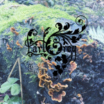 In The Emerald Triangle