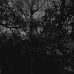 во сне (in a dream