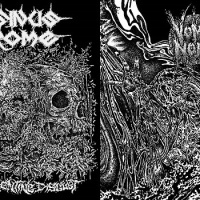 Rancid Fermenting Disgust / Submersion Emeto-Asphyxique
