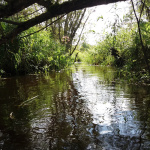 River Valley