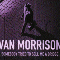 Somebody Tried To Sell Me A Bridge