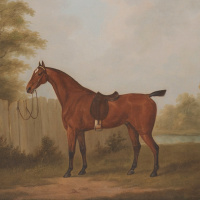 020. It Should Be Noted That There Are Significant Concerns With the Accuracy of This Account.