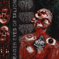 Eager Eyes of Talion