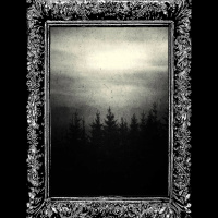 The Forlorn Lights Overlooking The Spectral Forest Of Yc'thudhresz