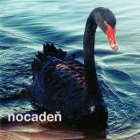 Nestrieľajte Do Labutí