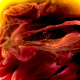 The Halls Of Fire