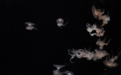 Счетчик Аномальных Траекторий (Anomalous Trajectory Counter)