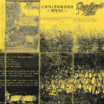 Beyond The Feudal Farmlands