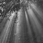 明晰な瞬間 (A moment of clarity)