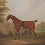 020. It Should Be Noted That There Are Significant Concerns With the Accuracy of This Account.