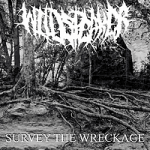 Survey the Wreckage